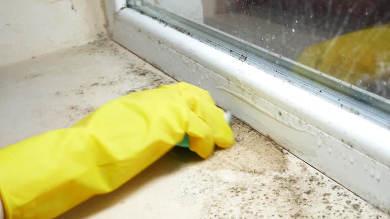 Best Forensic Mold Investigation  in Amargosa Valley, NV